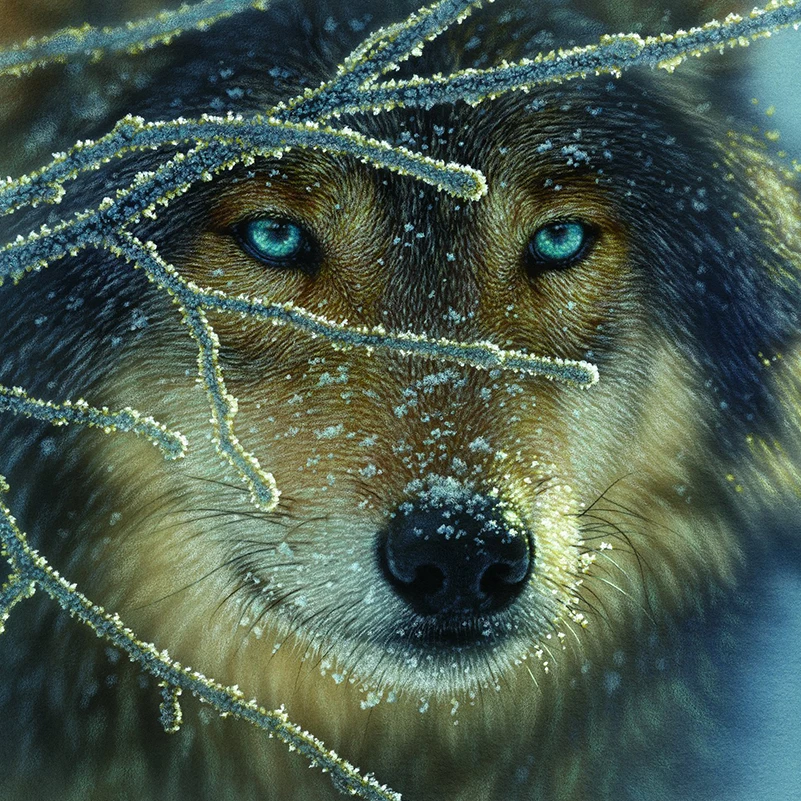 

Era,Full Embroidery,DIY Wolf Painting,Cross stitch,kits,14CT Animal Cross-stitch,Sets For Embroidery,40x40cm Needlework,VS-18