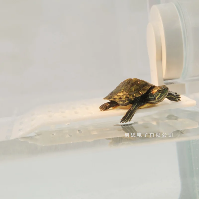 Средний пищевой ABS черепаха на крыше террасы черепаха плавучий остров греться dorsal оболочки платформы аксессуары для аквариума декорации