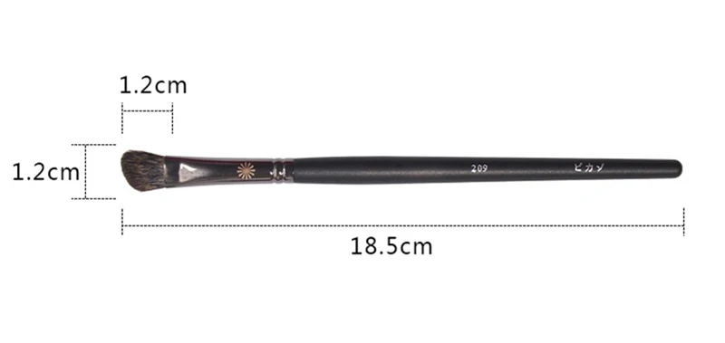 P209-01