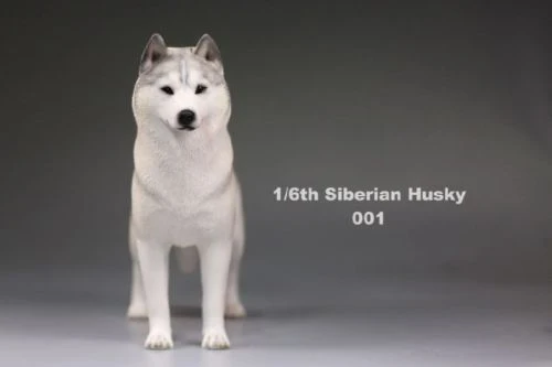 6 цветов, аксессуары для 1:6, Siberian Husky Simulation animals, фигурка для шестилетней собаки, модель игрушки для 12 дюймов, фигурка