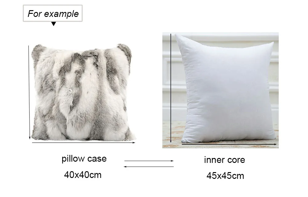 pillow case and core size 2