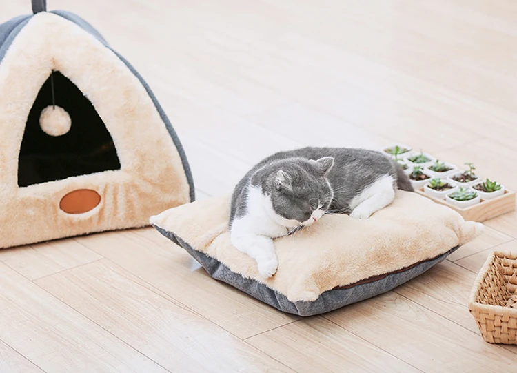 petshy cat house-4