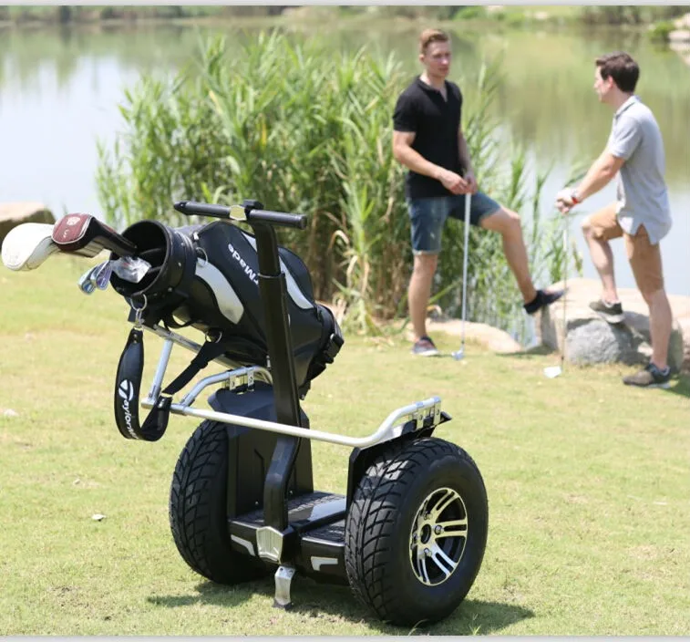 Тело-Контролируемый двойной-whe электрический скутер гольф скутер 1000 Вт двигателя мощный Электрический мотор автомобиль Мощный гольф