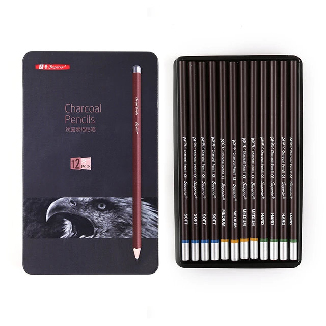 Dyvicl Professional Charcoal Pencils Drawing Set - 12 Pieces Soft, Medium &  Hard Charcoal Pencils for Drawing, Sketching, Shading, Artist Pencils for