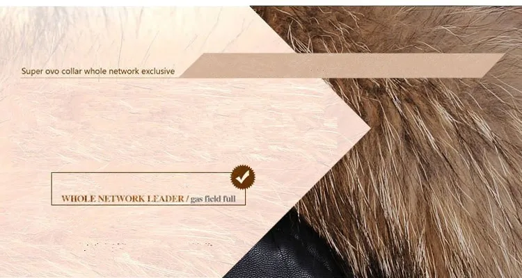 5_