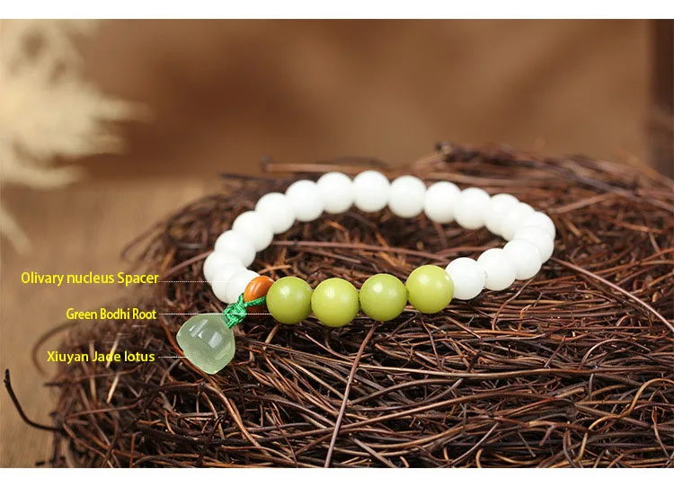 CDS053x(2)
