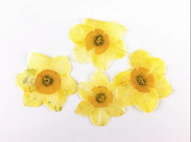 HSWL-yellow