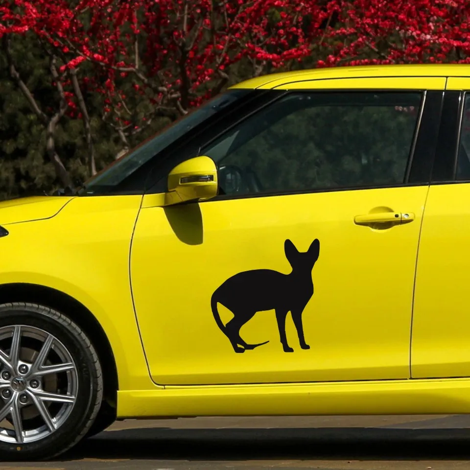 Anycuros Sphynx Cat Car Window Decorative Decals Funny Lovely Animal Car Stickers 11.512.1CM  (8)