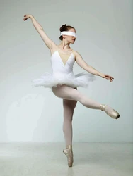 Adult 40cm Latin Ballet Dance White Black Rose Red Yellow Orange Pink Violet Purple Sky Royal Blue Green Tutu Tulle Ball Skirt Adult 40cm Latin Ballet Dance White Black Rose Red Yellow Orange Pink Violet Purple Sky Royal Blue Green Tutu Tulle Ball Skirt