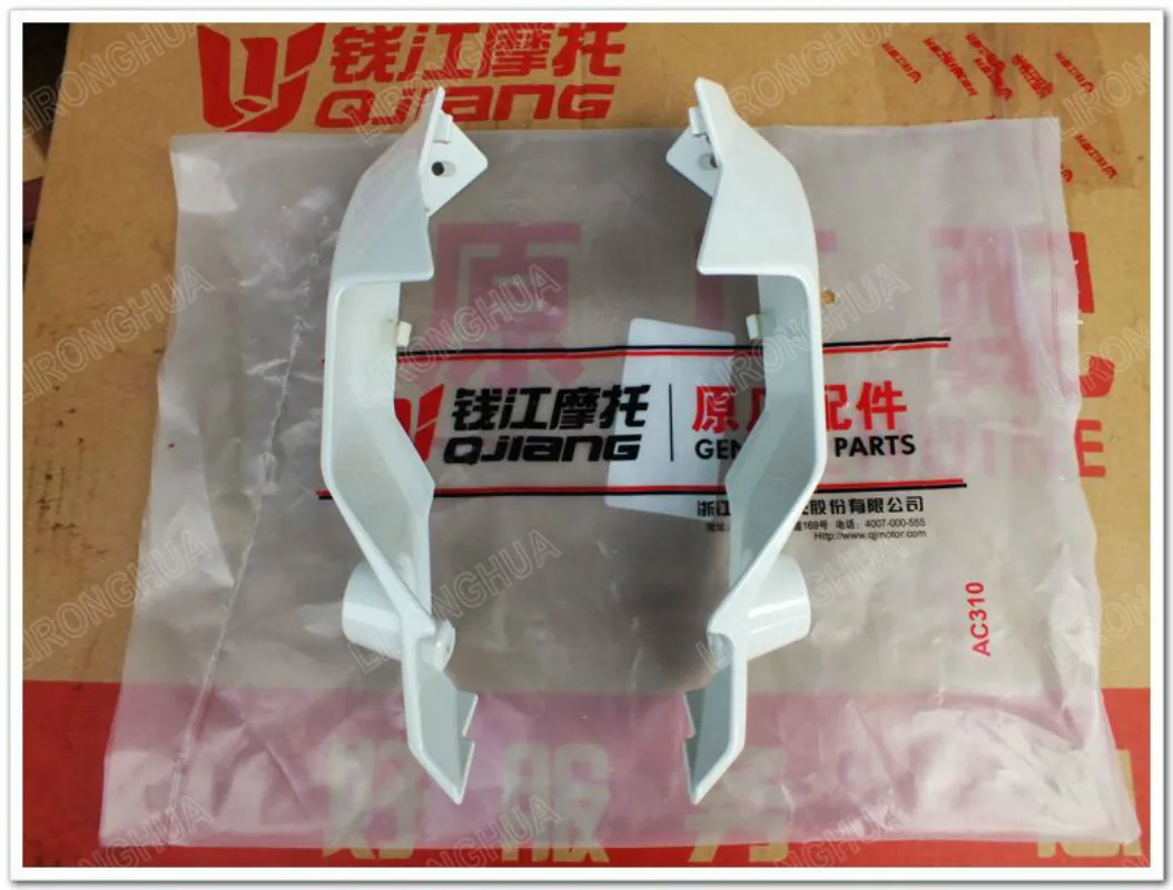 

Motorcycle Accessories Benagli Small Tyrannosaurus BJ125-3E Left / Right Dome