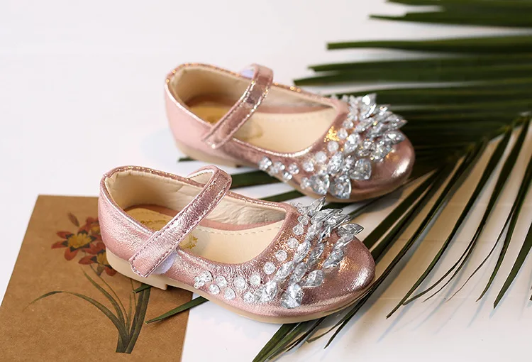 8533197421_1439264587