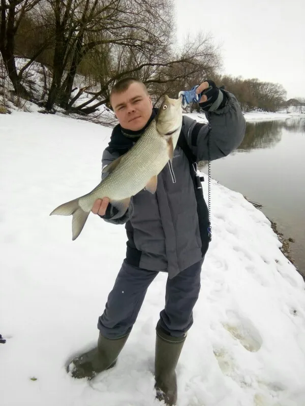 Aderência dos Lábios de Peixe com Colhedor e Pounch cm de Liga de Alumínio Frete Grátis Ilure Massa Pesqueiro 195g 29 21 High Quality Esporte e Lazer