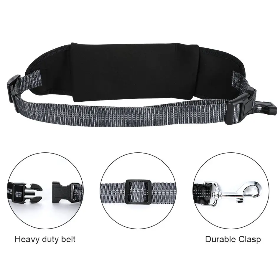 dog show lead