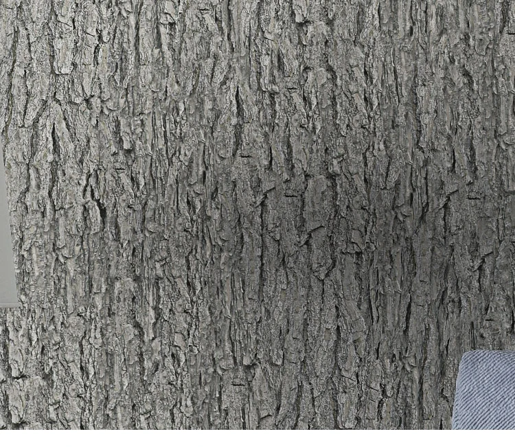 HTB1MO0MhOMnBKNjSZFCq6x0KFXaW