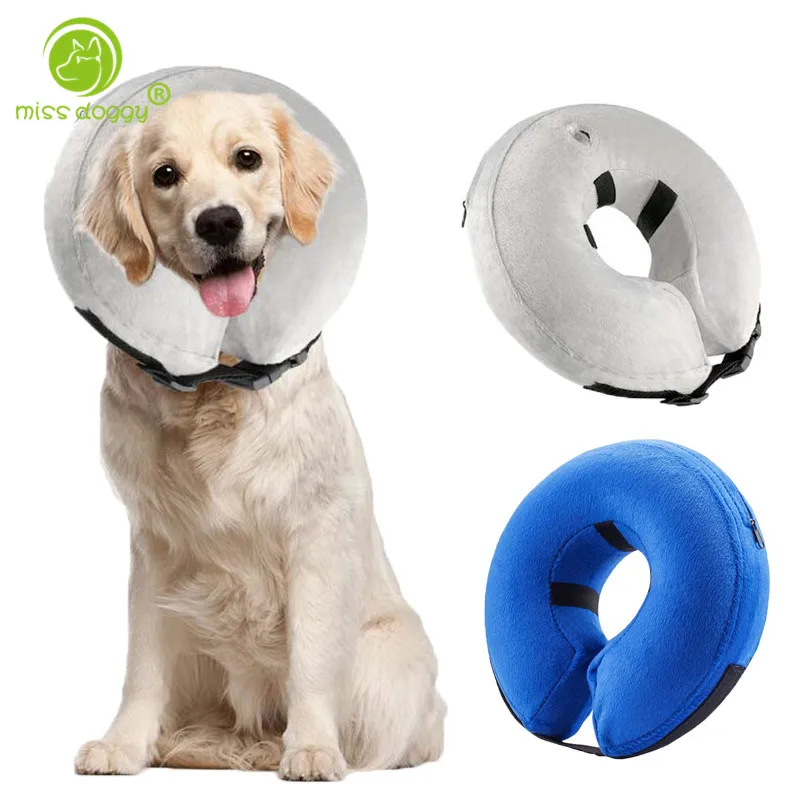 New Arrival Classic Solid Color Pet Dog Collar High Quality Soft