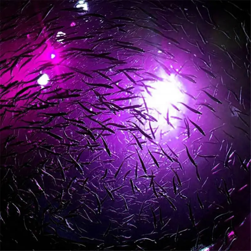 

LED Flashing Light Squid Bait Fishing Baits outdoor fishing Accessories 5 Color Underwater Light Fish Attraction Lure