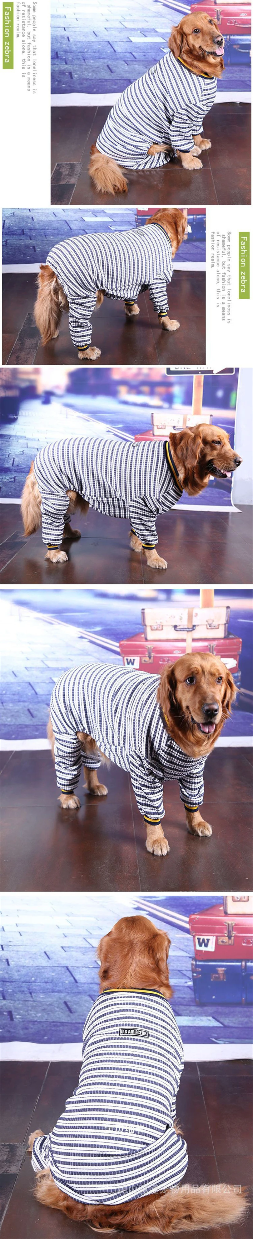 2019 Dog Hoodie Spring (10)