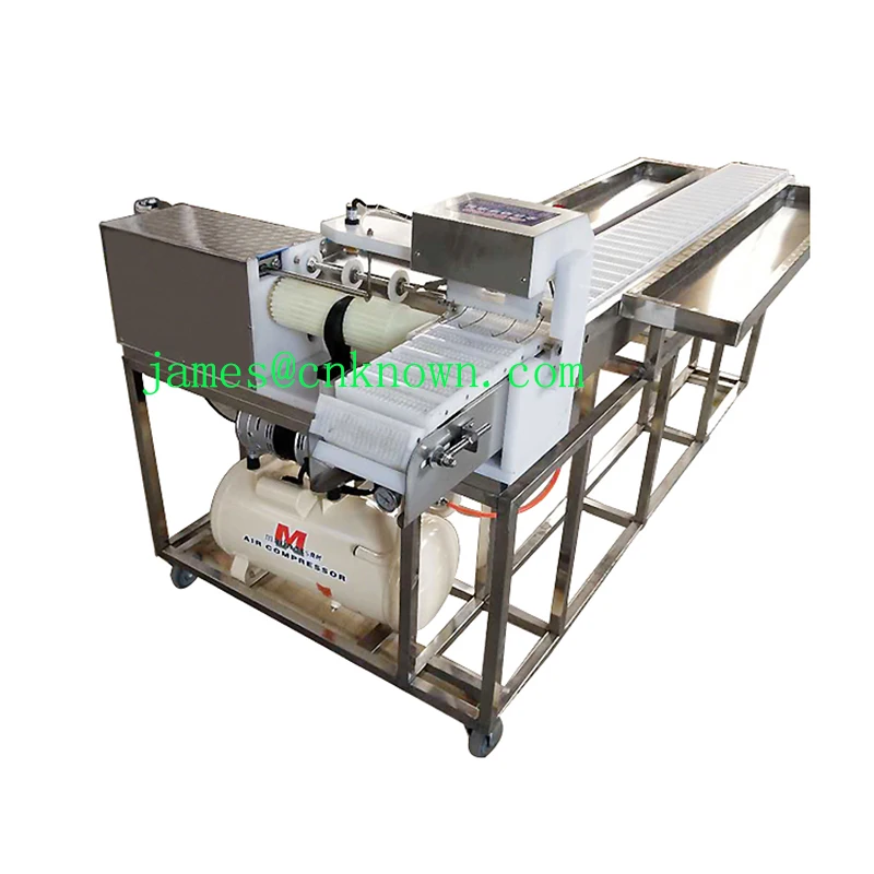 

Hot Selling Free sea Shipping Factory Supply Automatic Satay chicken kebab meat skewer string machine for sale