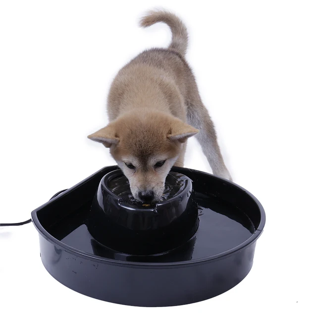 Local Delivery Automatic Pet Feeder Electric Fountain Cats Pet Bowl Drinking Cycle Filtered Water Dispenser Drink Dish Filter