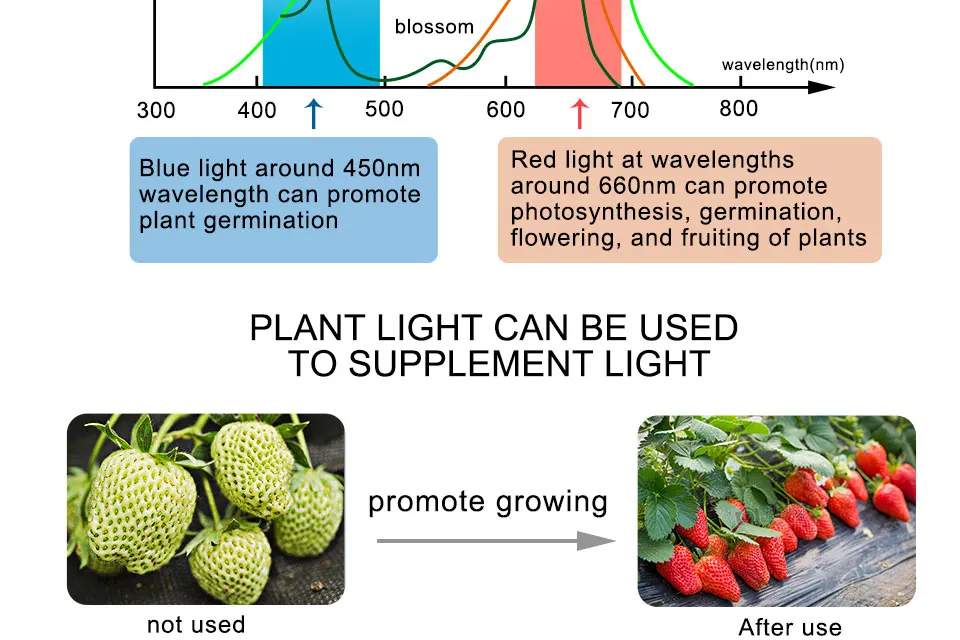 Plant Indoor Grow Lamp For Plants Flowers Seeds Hydroponics Lighting Garden Greenhouse (5)
