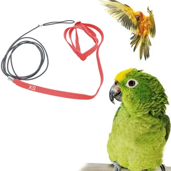 

Behogar Adjustable Anti-bite Flying Training Rope Parrot Bird Leash Harness for Quakers Sendgals Pigeons Medium Parakeets Macaws