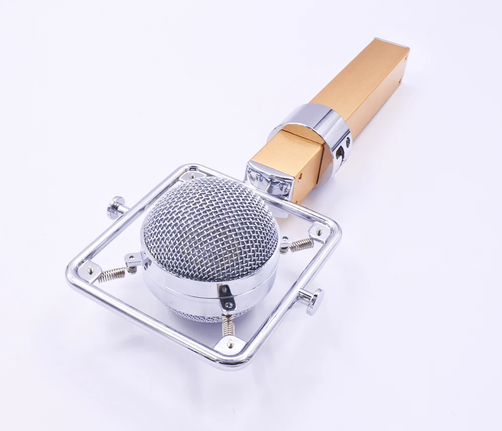 Dragonfly style professional studio computer vocal