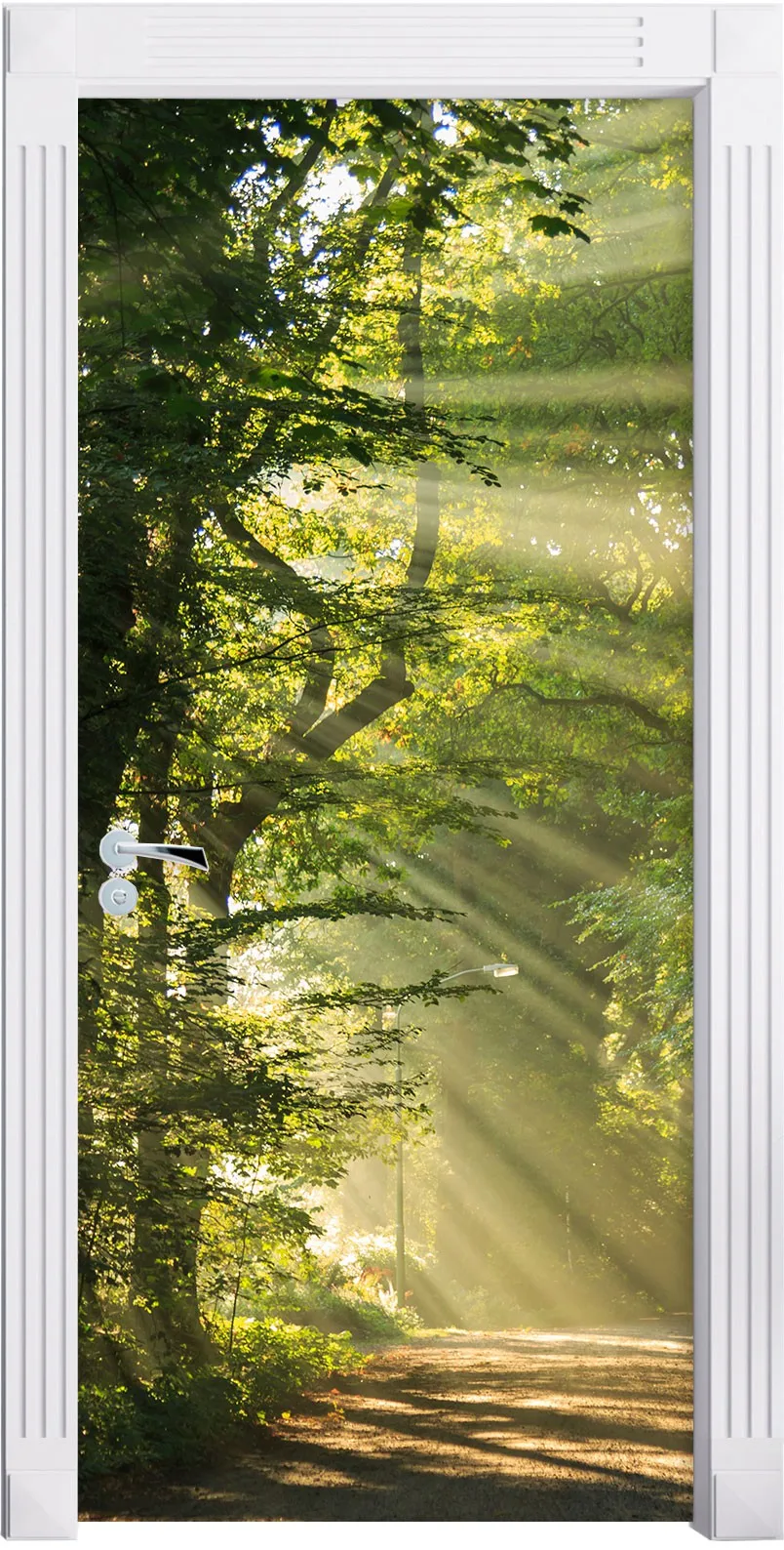 door_6586---1_1
