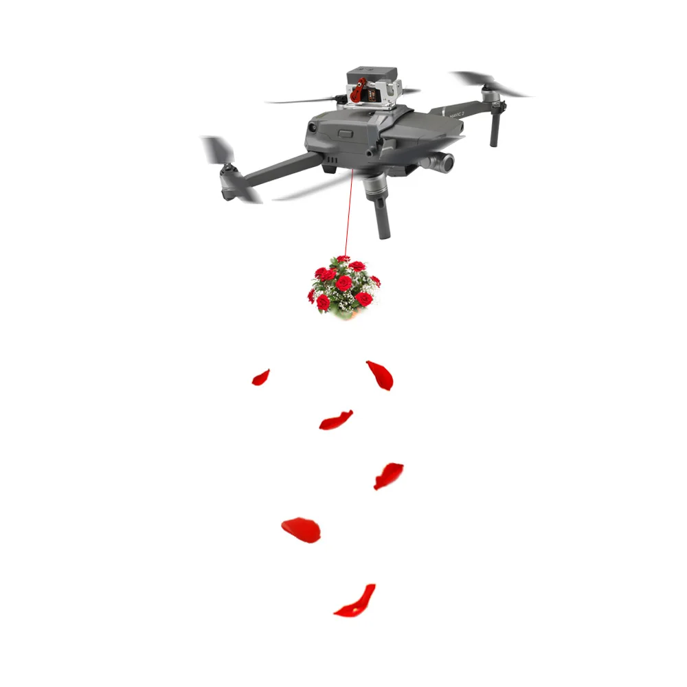 

DJI Mavic 2 Shinkichon Pelter Fishing Bait Wedding Device Kit Thrower For Mavic 2 Pro/Zoom Accessories
