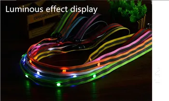 

FD45 free shipping pet dog Leashes /w led light dog Pull strap pet dog Drawstring dog leads 2.5cm width