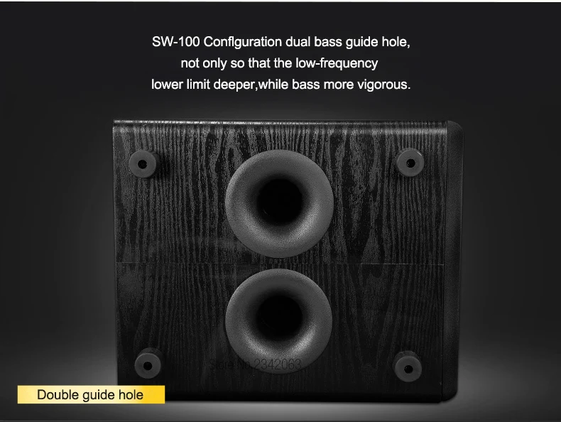SW-100_08
