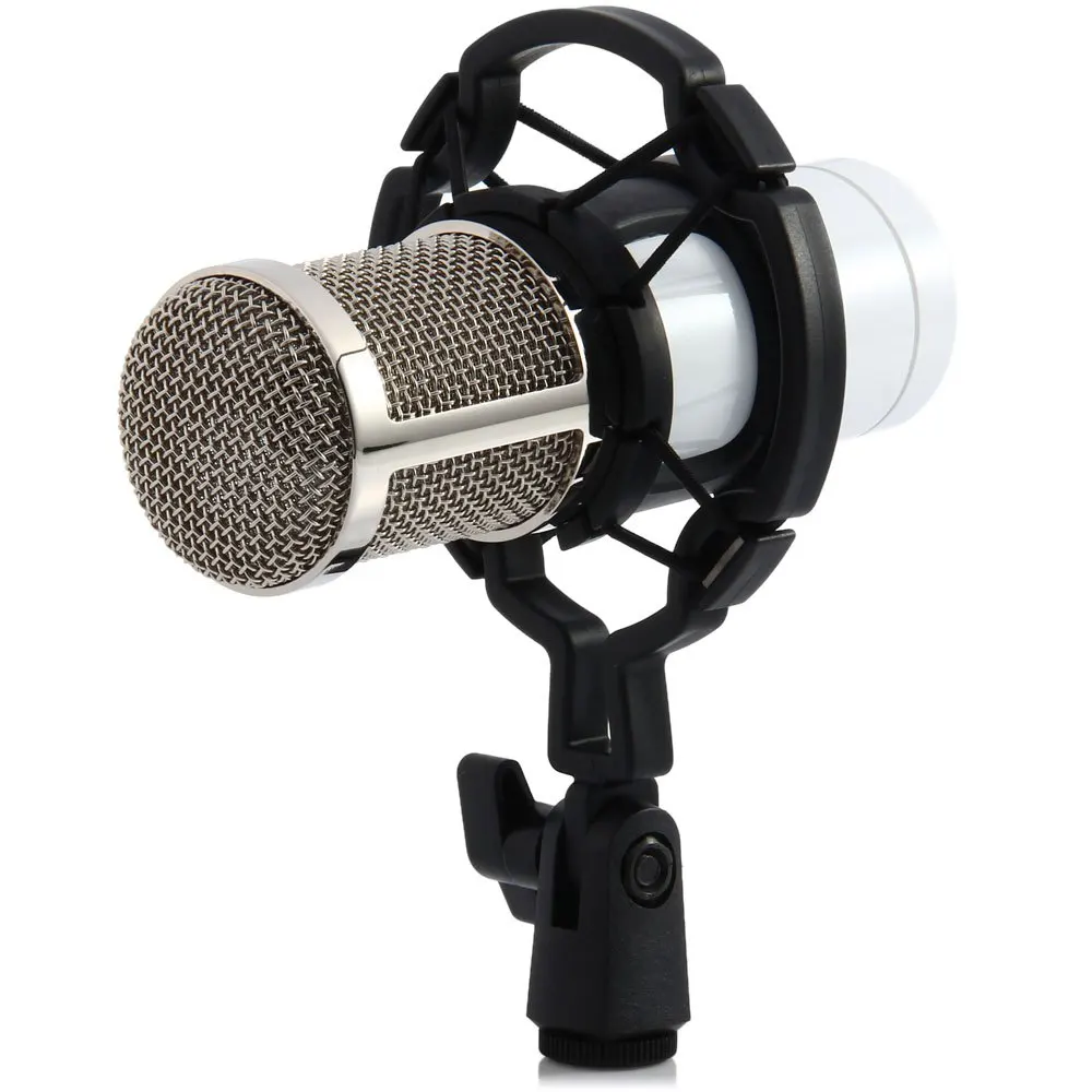 BM 800 High Quality Professional Condenser Sound Recording Microphone ...