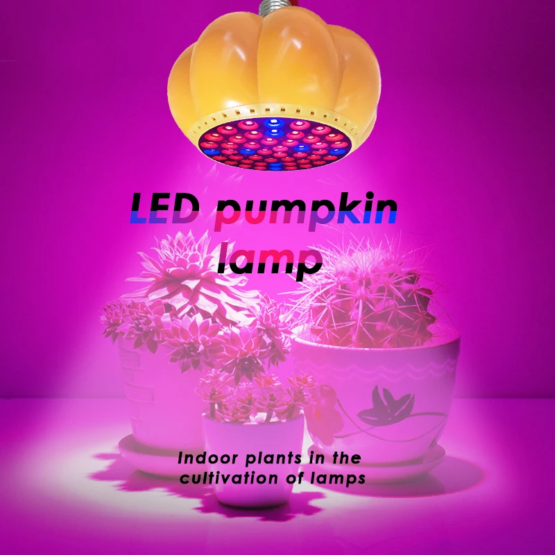 HTB1lrCIeJHO8KJjSZFHq6zWJFXa6