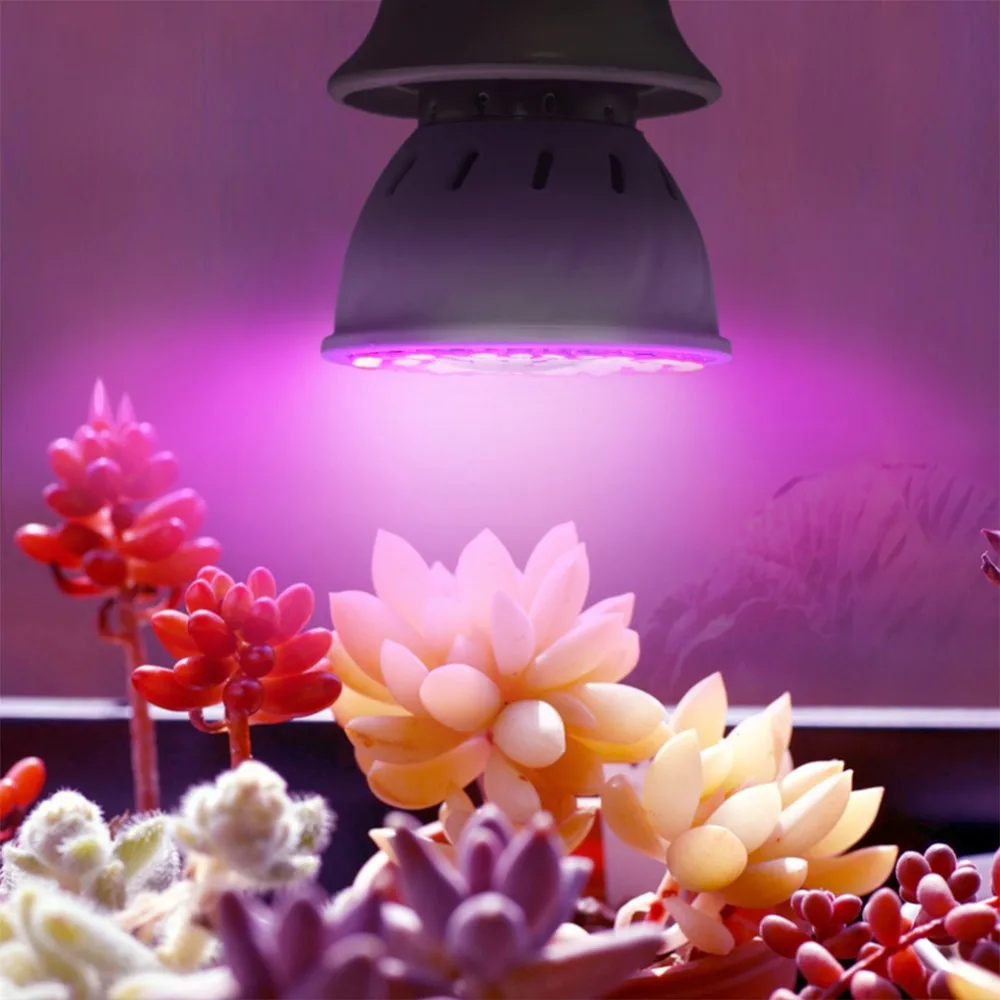 ebc683_x1