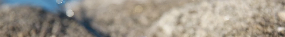 --_99