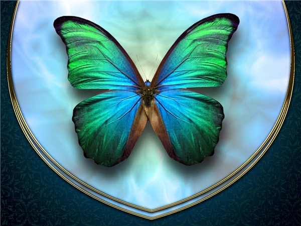 3D diamond embroidery butterfly square sets full decorative diy painting cross stitch crystal XX121 | Дом и сад