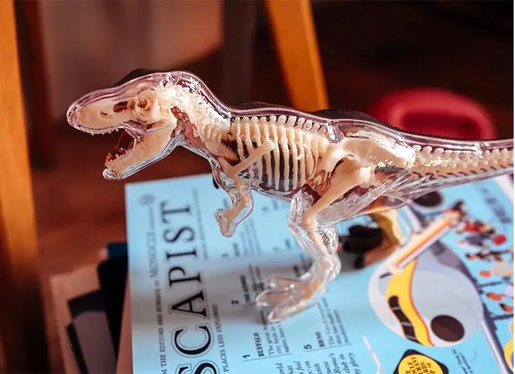 DIY игрушка головоломка собранная 4D T-REX динозавр анатомия модель полностью съемные органы тела 36 частей научная развивающая игрушка для ребенка