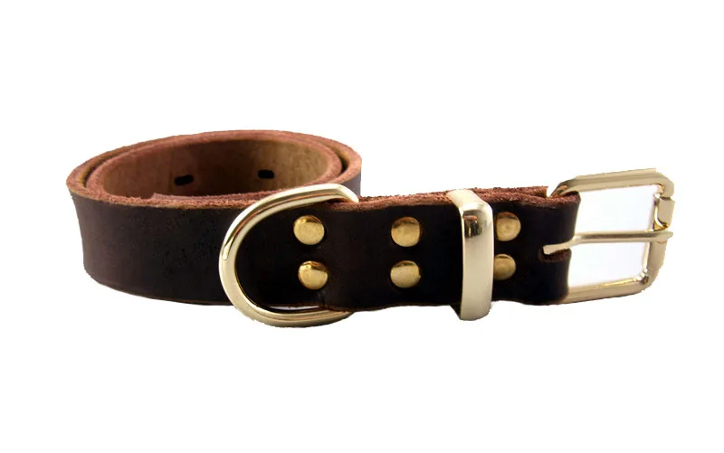 Luxury Real Leather Dog Collar Top Grade Gold Alloy Buckle Brown Leather Pet Collars for Small Medium Large Dogs New Pet Products8