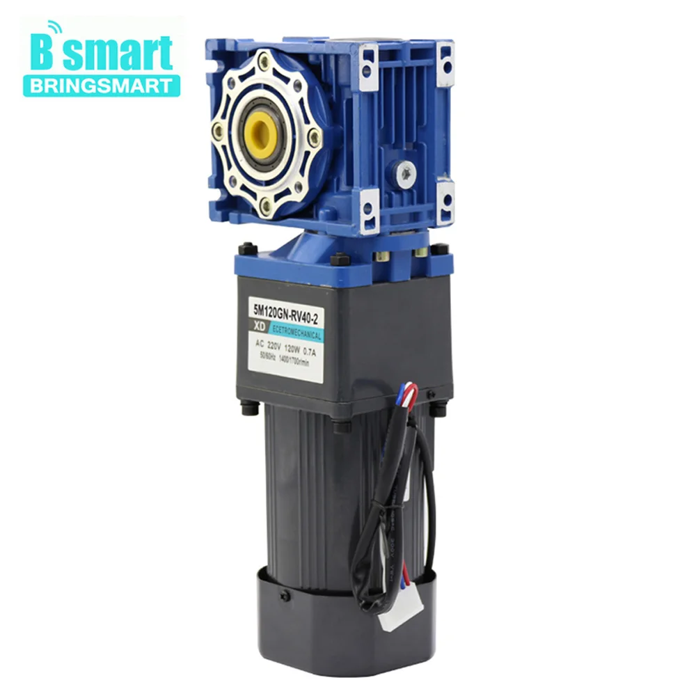 Электродвигатель BringSmart 220 В переменного тока 120 Вт двухступенчатый червячный