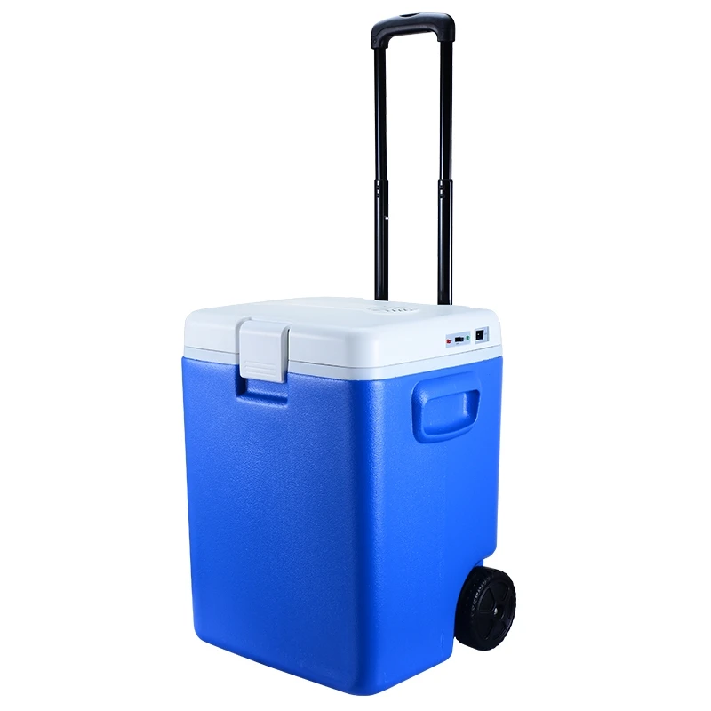 30L 12V портативный автомобильный холодильник для путешествий и подогреватель мини-холодильник с морозильной камерой