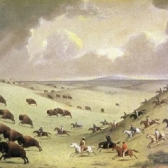 The Buffalo Hunt  Paul Kane (1810-1871 Canadian) Poster Print (18 x 24)