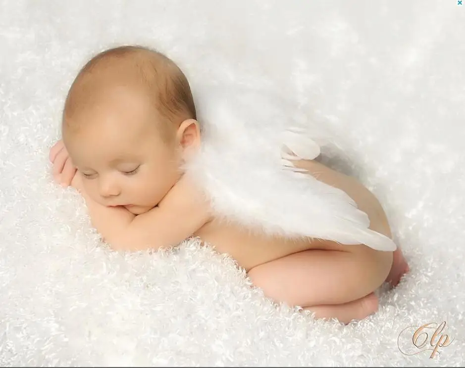 0 3m Baby Angels Feather Wings Boys Bebe Angel Wings Newborn Photography Photo Prop Mini White Little Wing Rufflebutt Feather Plant Wing Boltfeather Glove Aliexpress