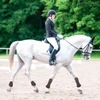 Front Hind Leg Boots Adjustable Horse Leg Boots Equine Front Hind Leg Guard Equestrian Tendon Protection Horse Hock Brace 6