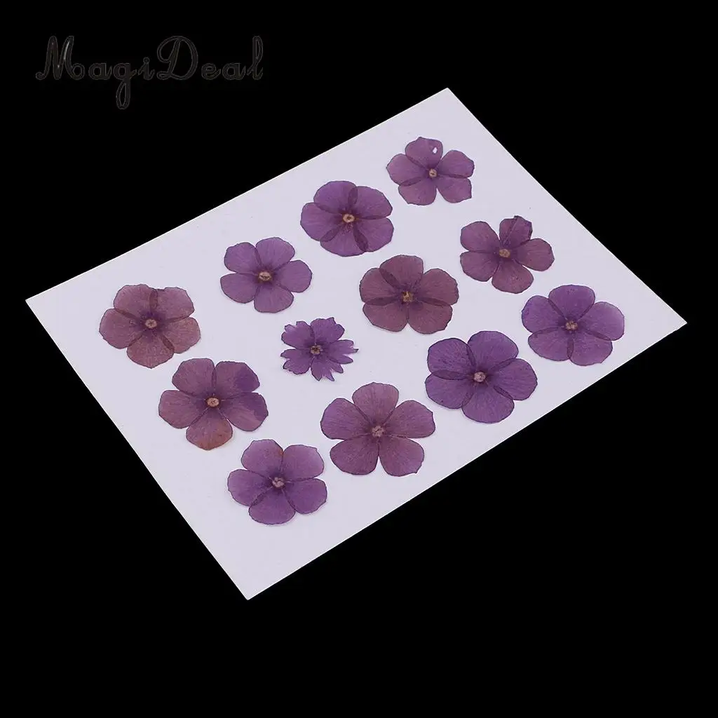 12 Pieces Natural Dried Flowers Real Flower Amaranthus for Kids Craft Card Making DIY Pendants Charms Jewelry