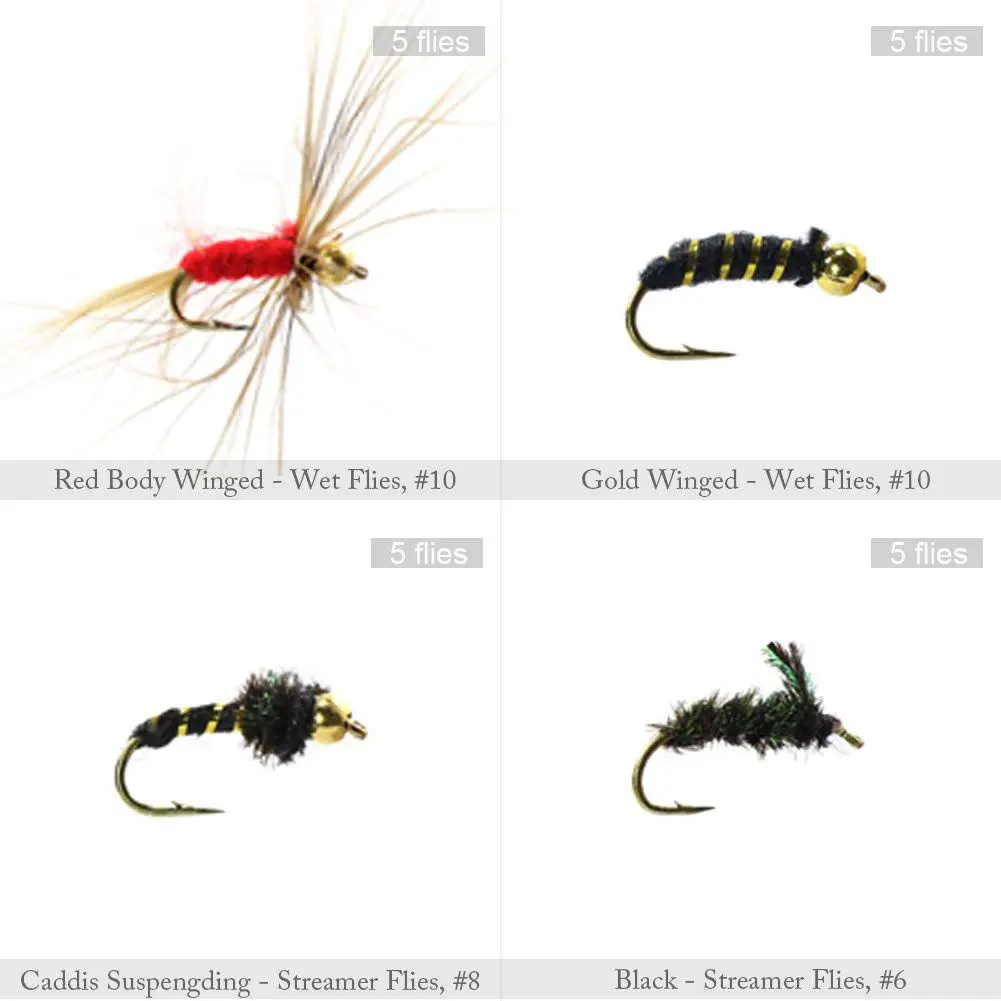 LGFM 120pcs Fly Fishing Dry Flies Wet Flies Assortment Kit with