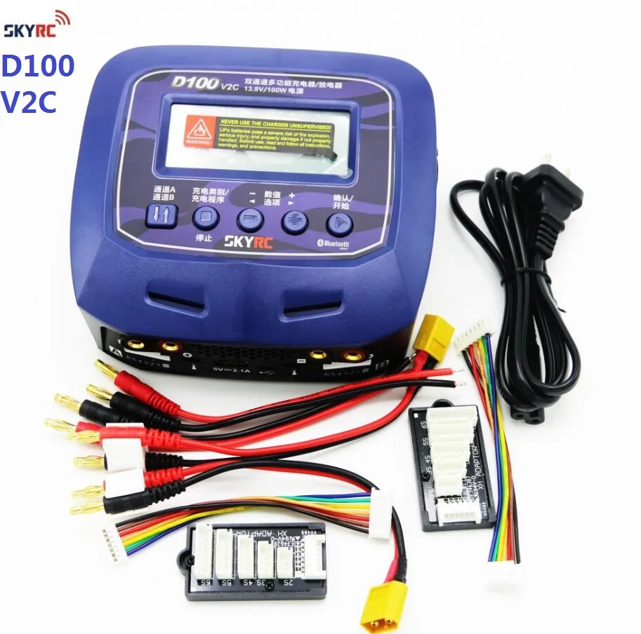 SKYRC D100  (3)
