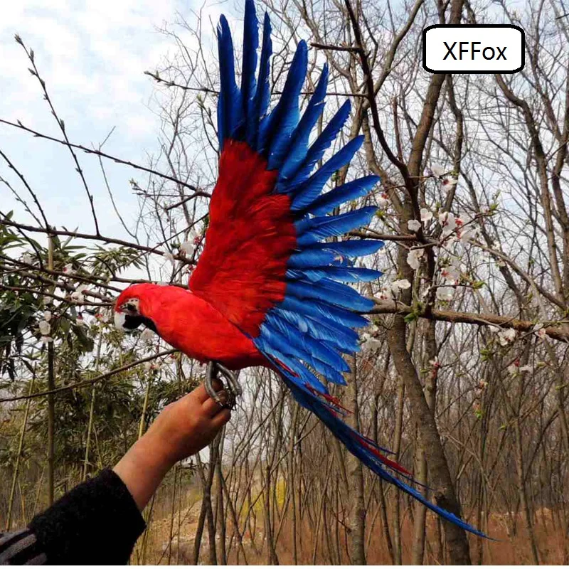 

big real life red&blue wings parrot model foam&feather gray paw simulation parrot bird gift about 45x60cm xf0269