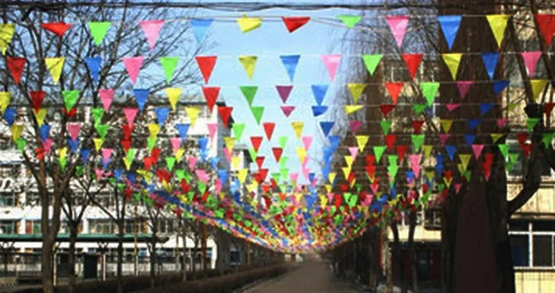 DH_color burgee flag dacron material -4