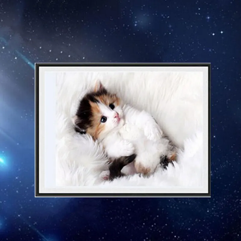 

Round Drills Cute Cat 5D DIY Diamond Painting Cross Stitch Animal Embroidery Mosaic Home Decor Dropshipping FAS