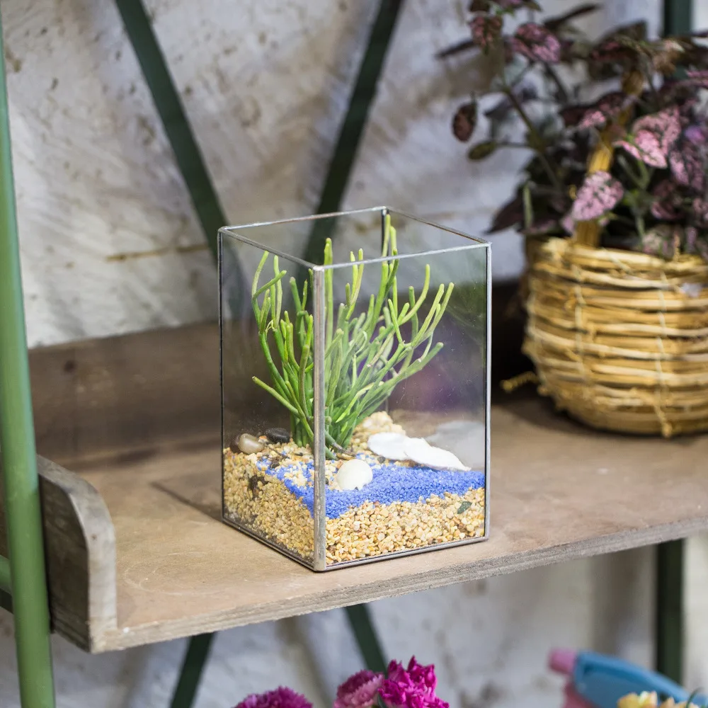 

NCYP 6" Rectangular Geometric Open Fern Moss Succulent Plants Glass Terrarium Balcony Display Planter Garden Pot Box for Present