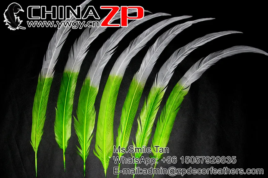CHINAZP Супер Длинное перо фазана оптовая продажа 65 ~ 70 см (от 26 до 28 дюймов) 50 шт./лот